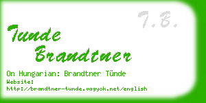 tunde brandtner business card